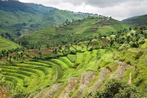 Radical terracing in Rwanda